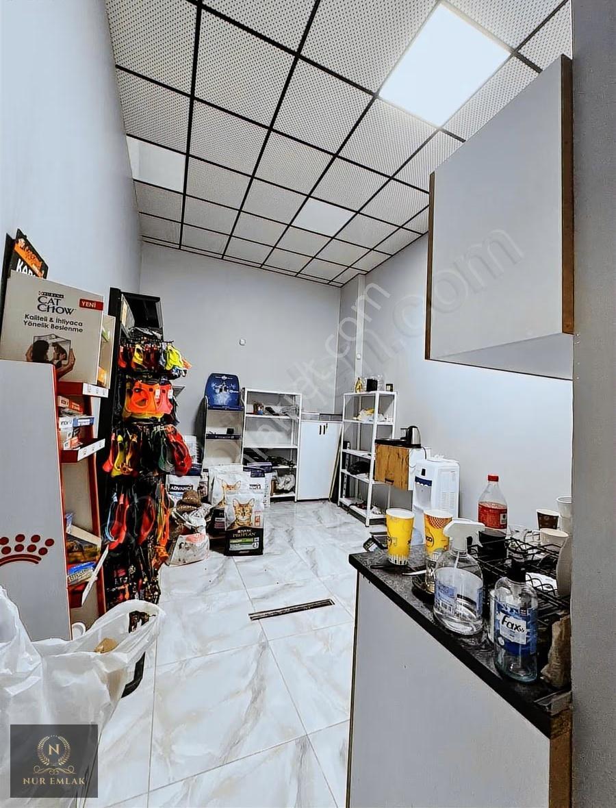 Adnankahveci Mah İşlek Cadde Üzerinde Devren Kiralık Pet Şop - Görsel 14