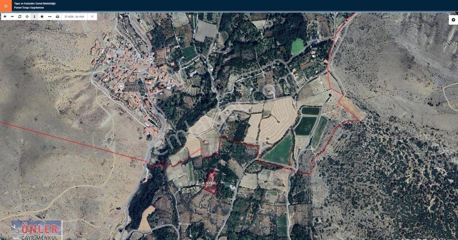 Büyükdede Köyünde 2650 Metrekare Bahçe 1+1 Ev Odunluk 50 Ağaç - Görsel 8