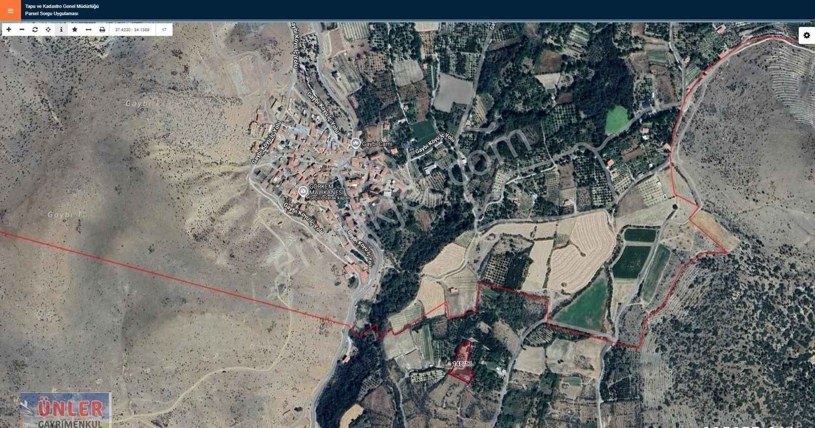 Büyükdede Köyünde 2650 Metrekare Bahçe 1+1 Ev Odunluk 50 Ağaç - Görsel 9