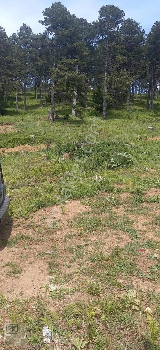 R.k Dan Kirazlı Uludağ Yolunda Satılık Tarla - Görsel 5