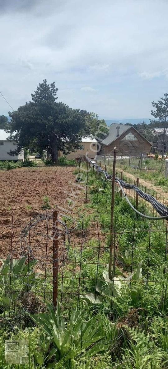 R.k Dan Kirazlı Uludağ Yolunda Satılık Tarla - Görsel 3