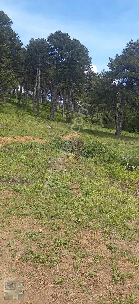 R.k Dan Kirazlı Uludağ Yolunda Satılık Tarla - Görsel 2