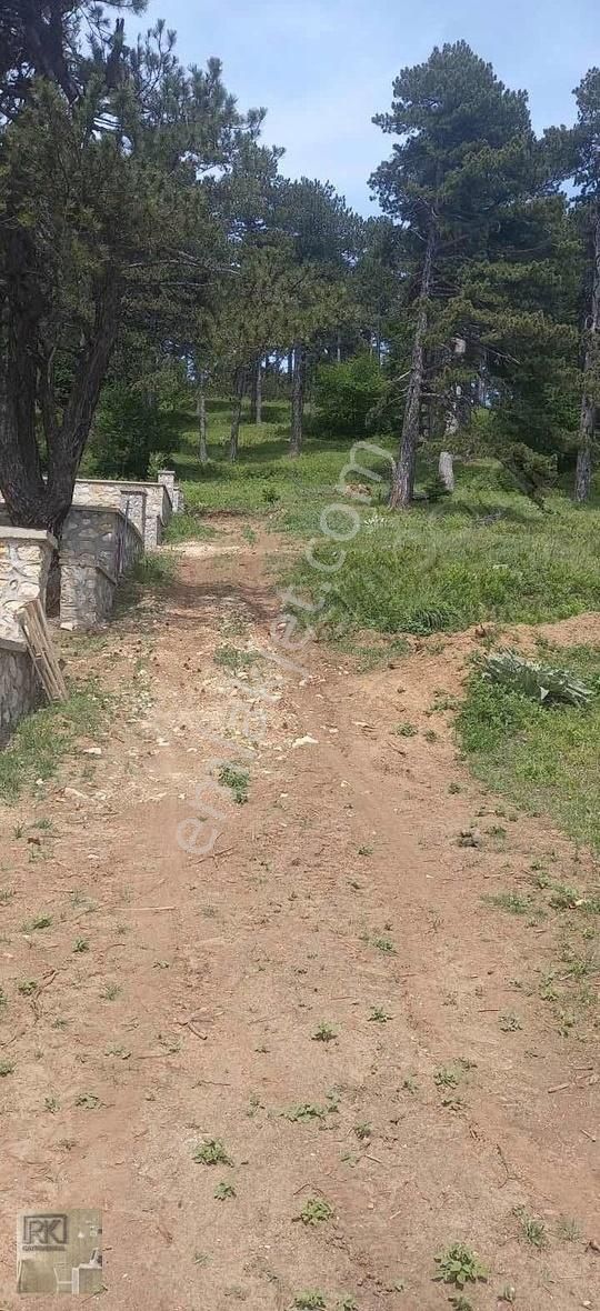 R.k Dan Kirazlı Uludağ Yolunda Satılık Tarla