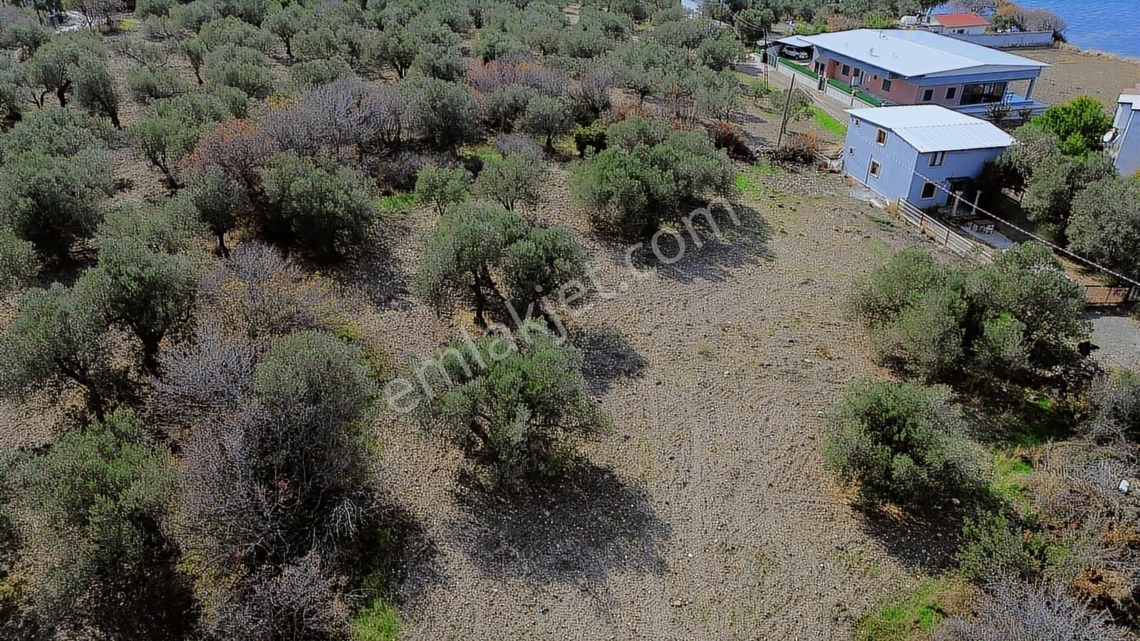 İzmir Çaltılıdere Mah. Yarımada İçerisinde 2.708m2 Muhteşem Arsa - Görsel 22