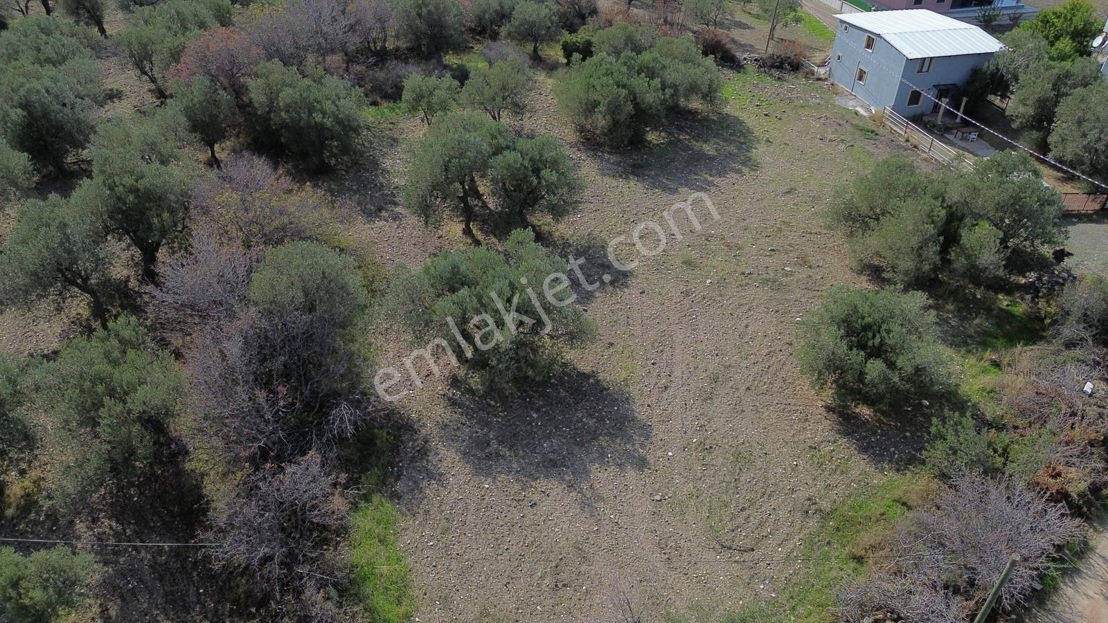 İzmir Çaltılıdere Mah. Yarımada İçerisinde 2.708m2 Muhteşem Arsa - Görsel 18