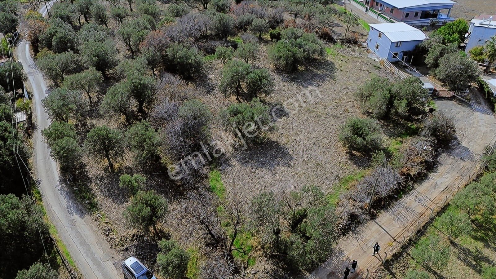 İzmir Çaltılıdere Mah. Yarımada İçerisinde 2.708m2 Muhteşem Arsa - Görsel 23