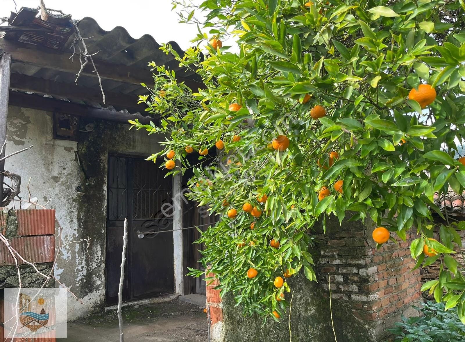 Muğla Milas Derince'de, Elektrik Su Aboneliği Olan Kargir Ev - Görsel 9