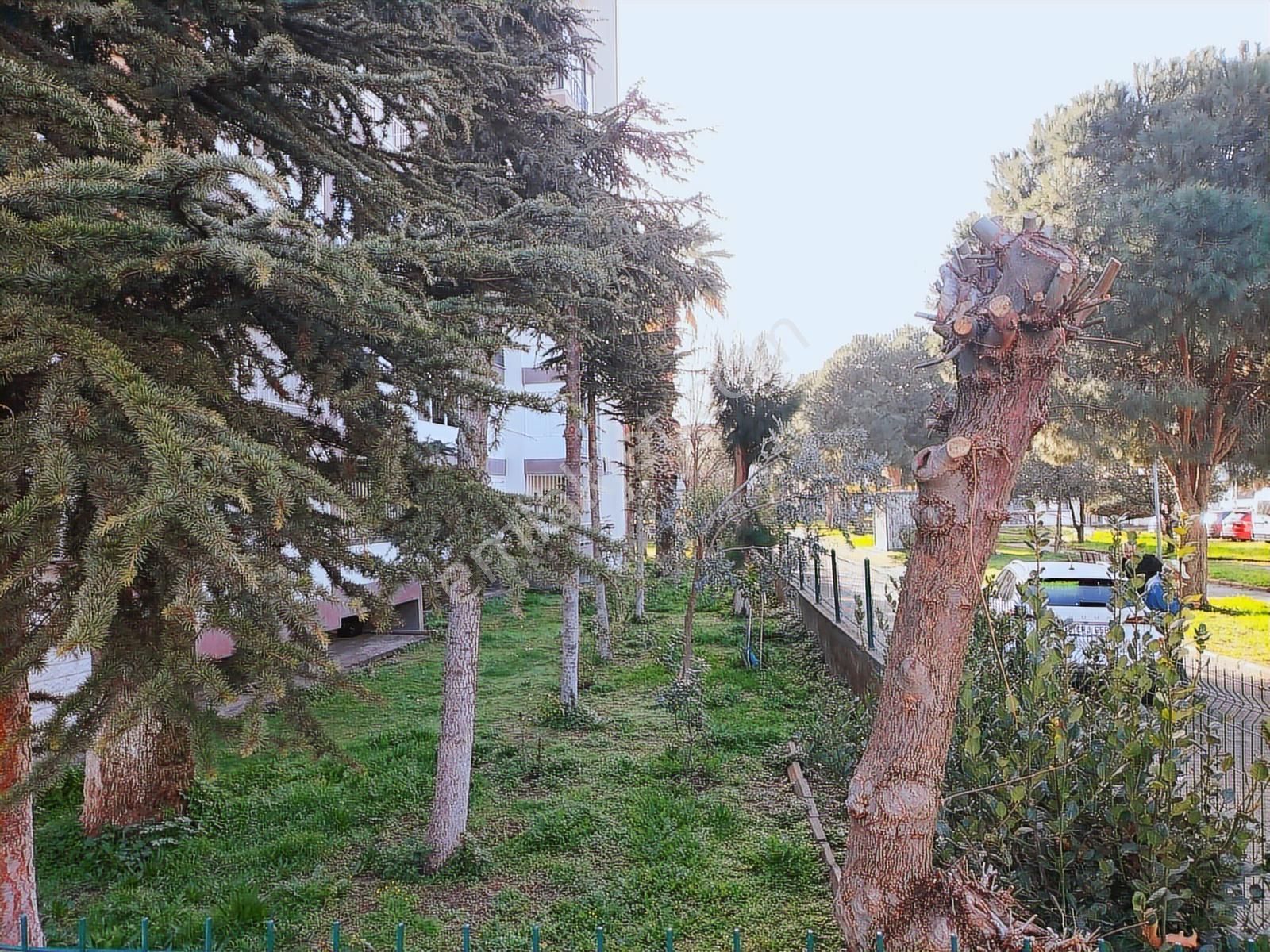 Bayraklı Smyrna Meydanı Yakını Kiralık 3+1 Bakımlı Daire - Görsel 15