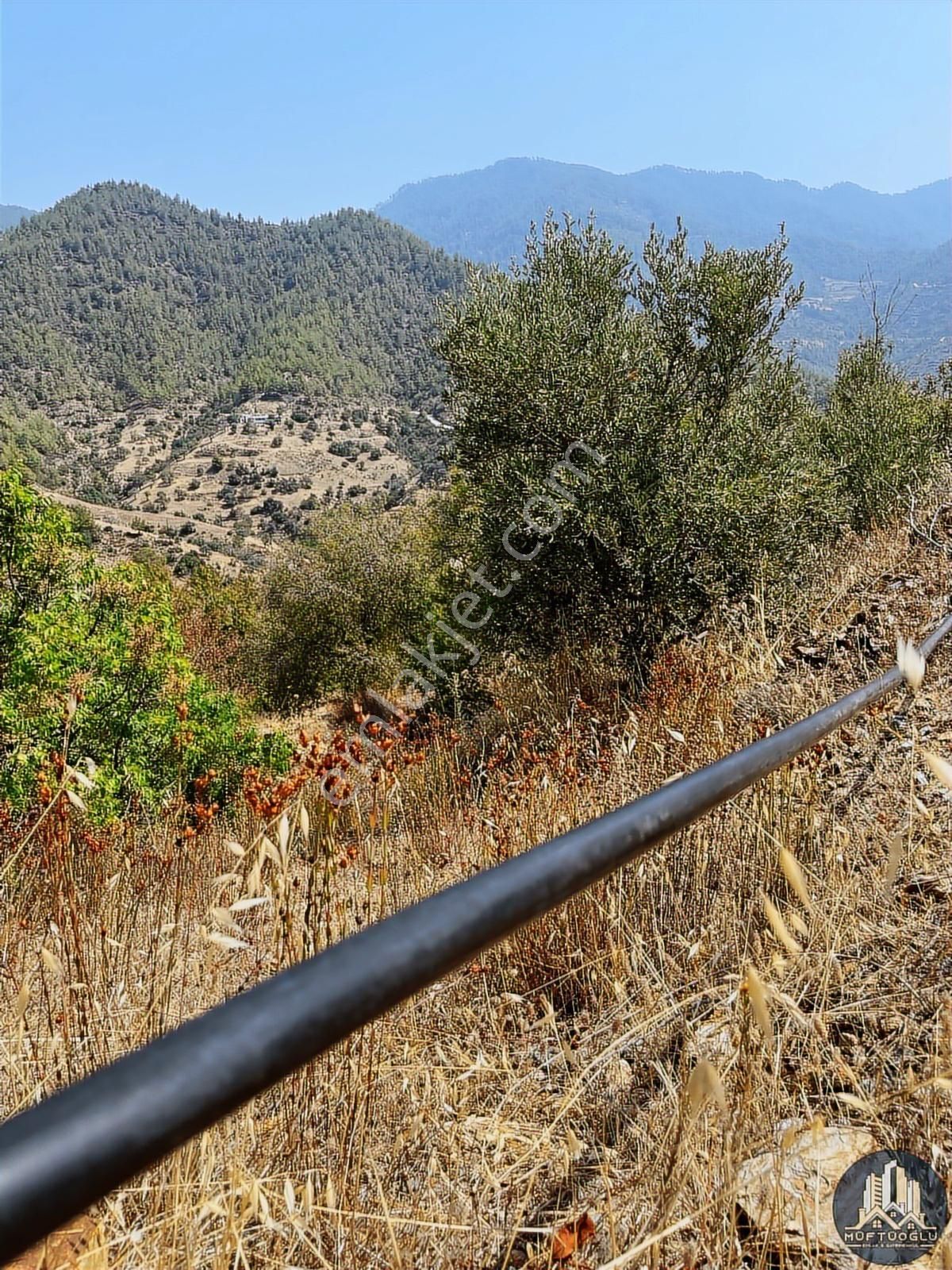 Doğanın Kalbinde Yatırım Fırsatı! Müftüoğlu Emlak Gayrimenkul - Görsel 11
