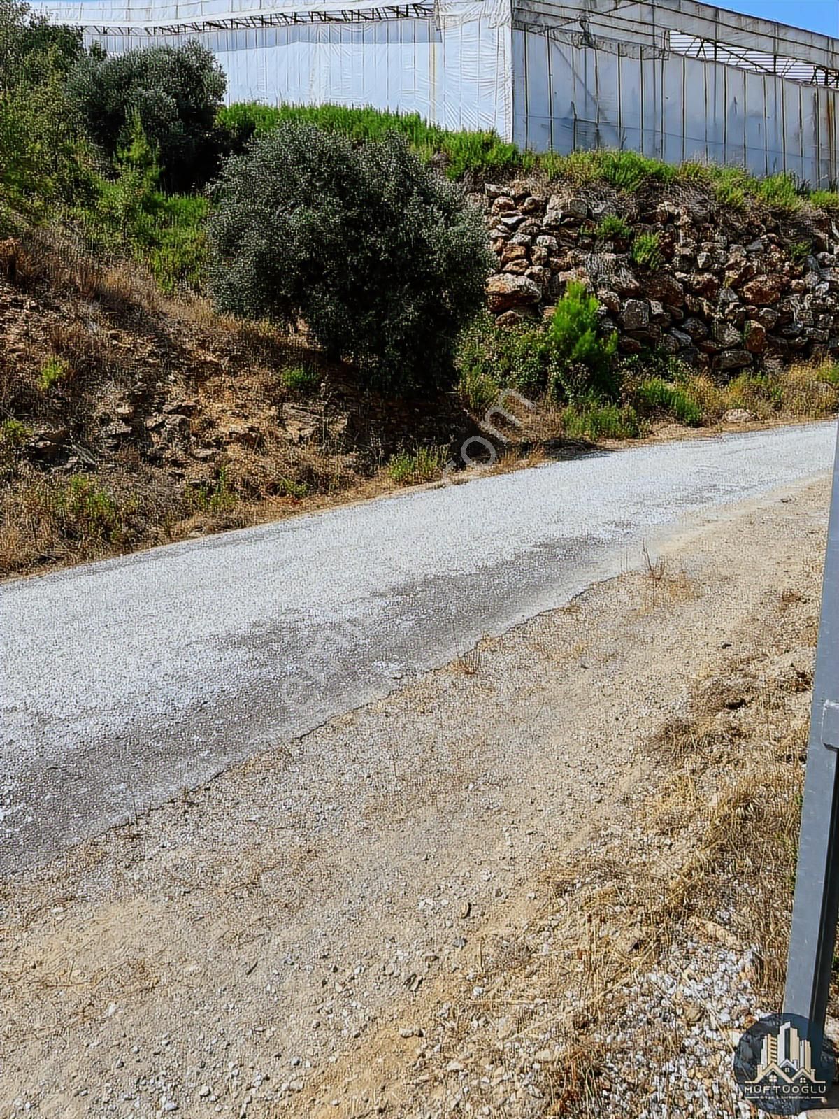 Doğanın Kalbinde Yatırım Fırsatı! Müftüoğlu Emlak Gayrimenkul - Görsel 7