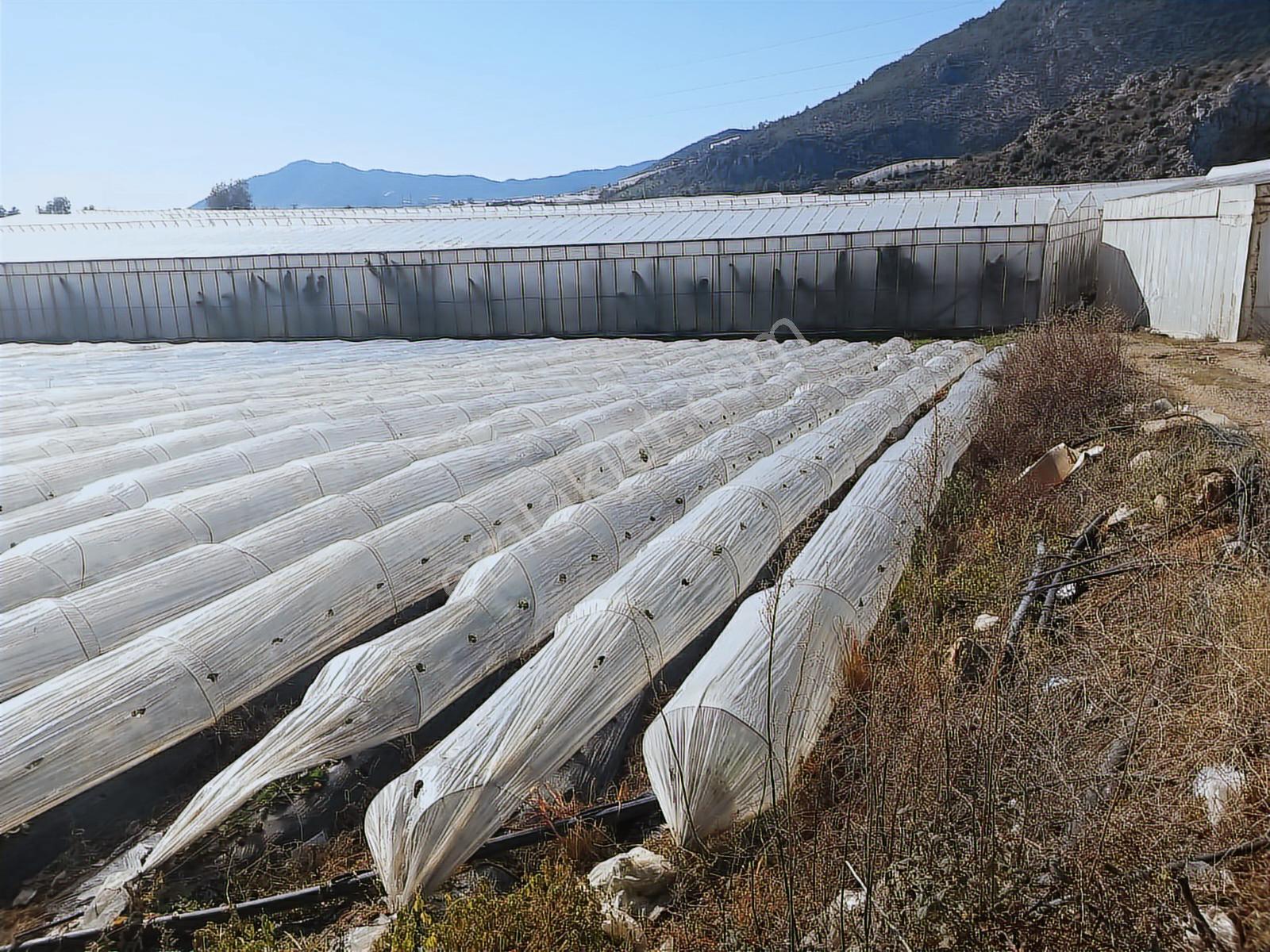 Rç Emlak Gayrimenkulden Anamur Güleç Mahallesinde 2950 M2 - Görsel 2