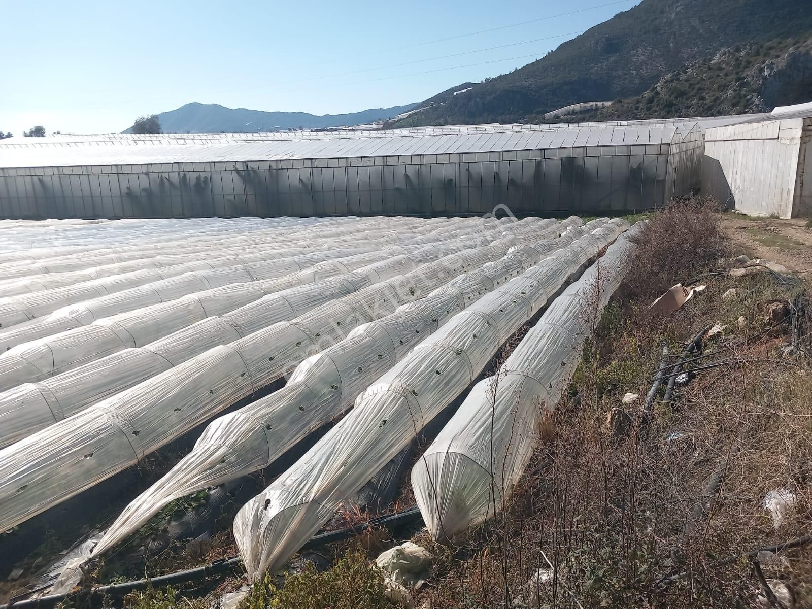 Güleç Mahallesin De Satılık Arsa - Görsel 2