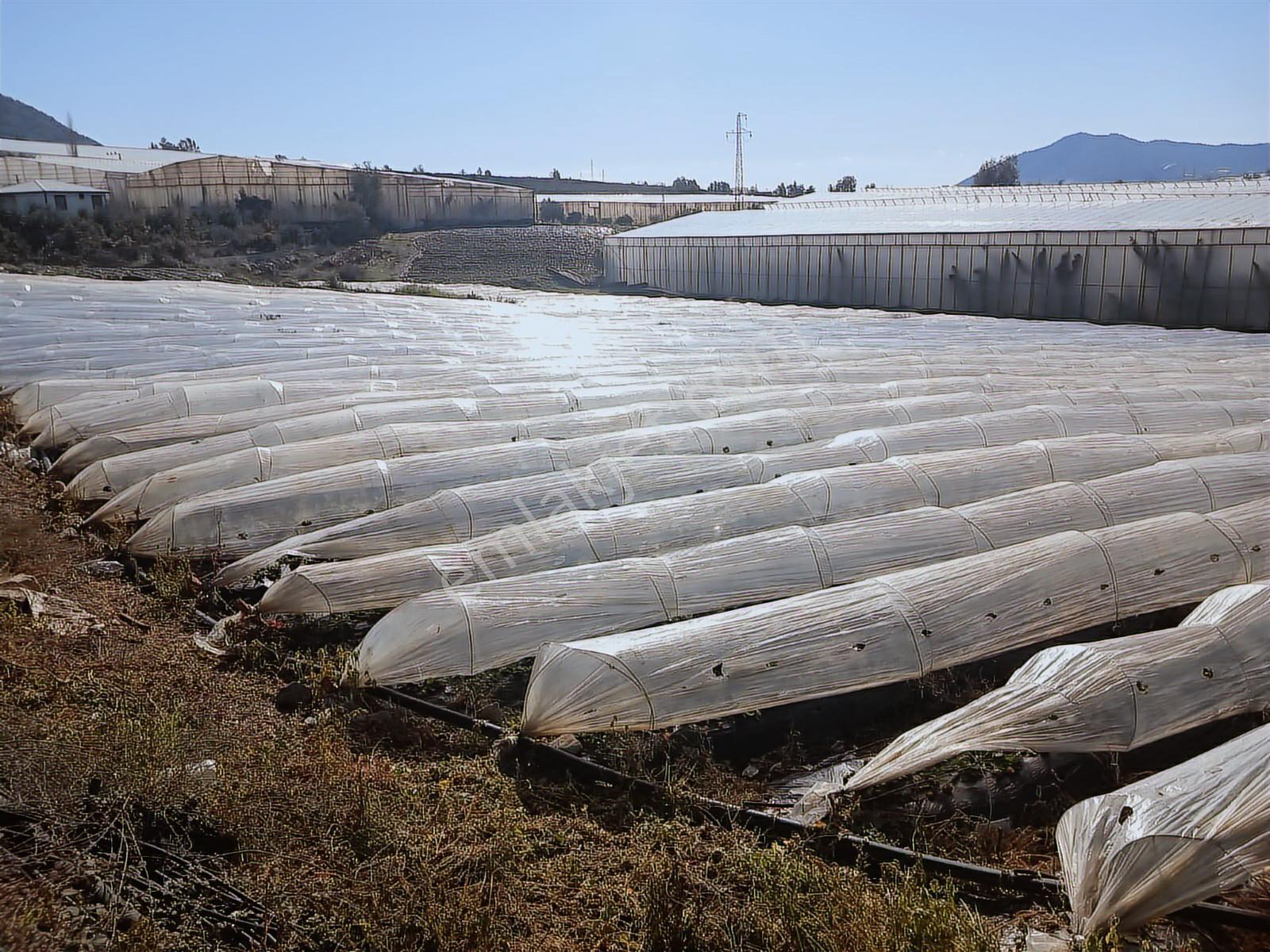 Rç Emlak Gayrimenkulden Anamur Güleç Mahallesinde 2950 M2 - Görsel 4