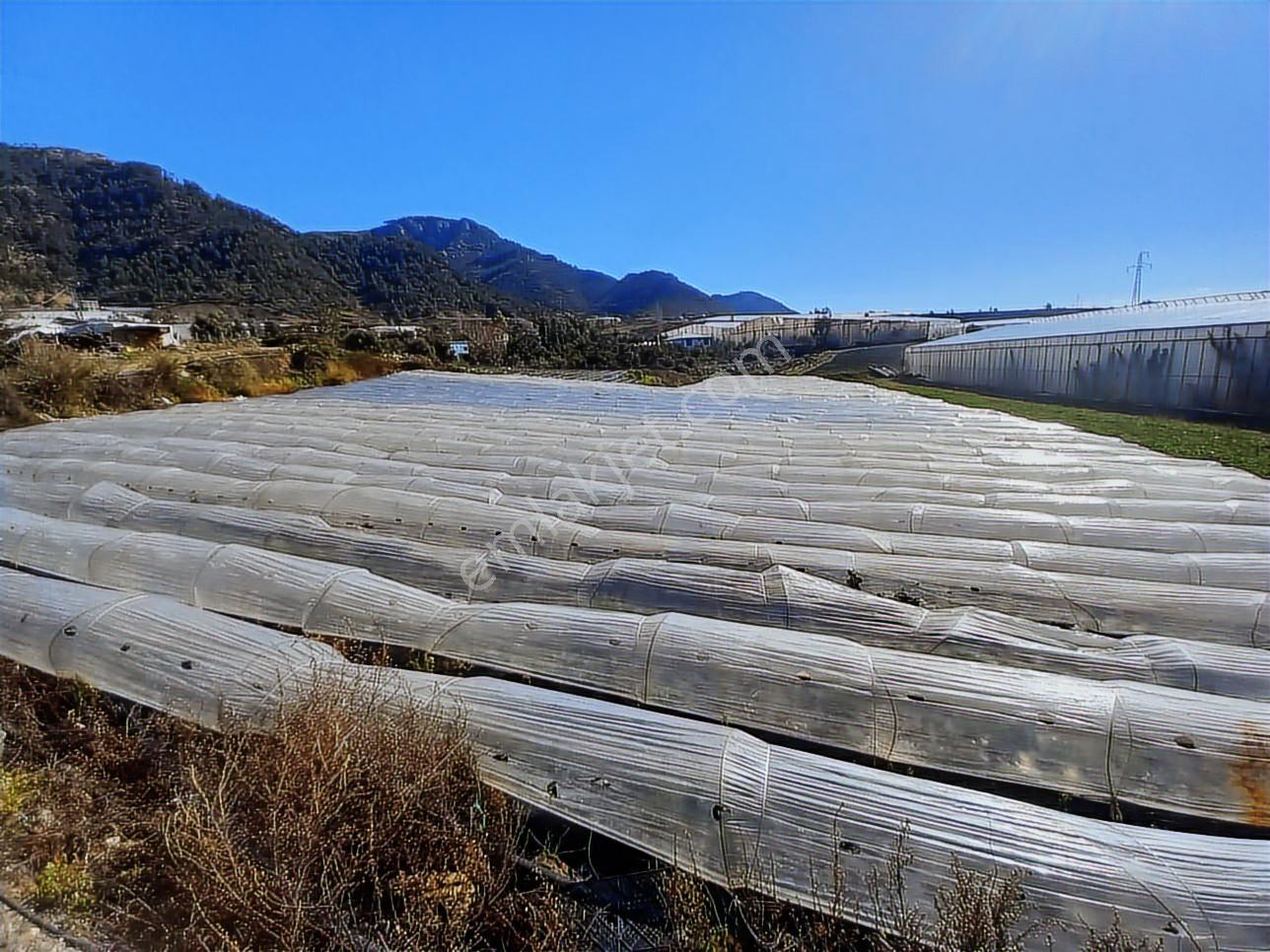 Rç Emlak Gayrimenkulden Anamur Güleç Mahallesinde 2950 M2 - Görsel 6