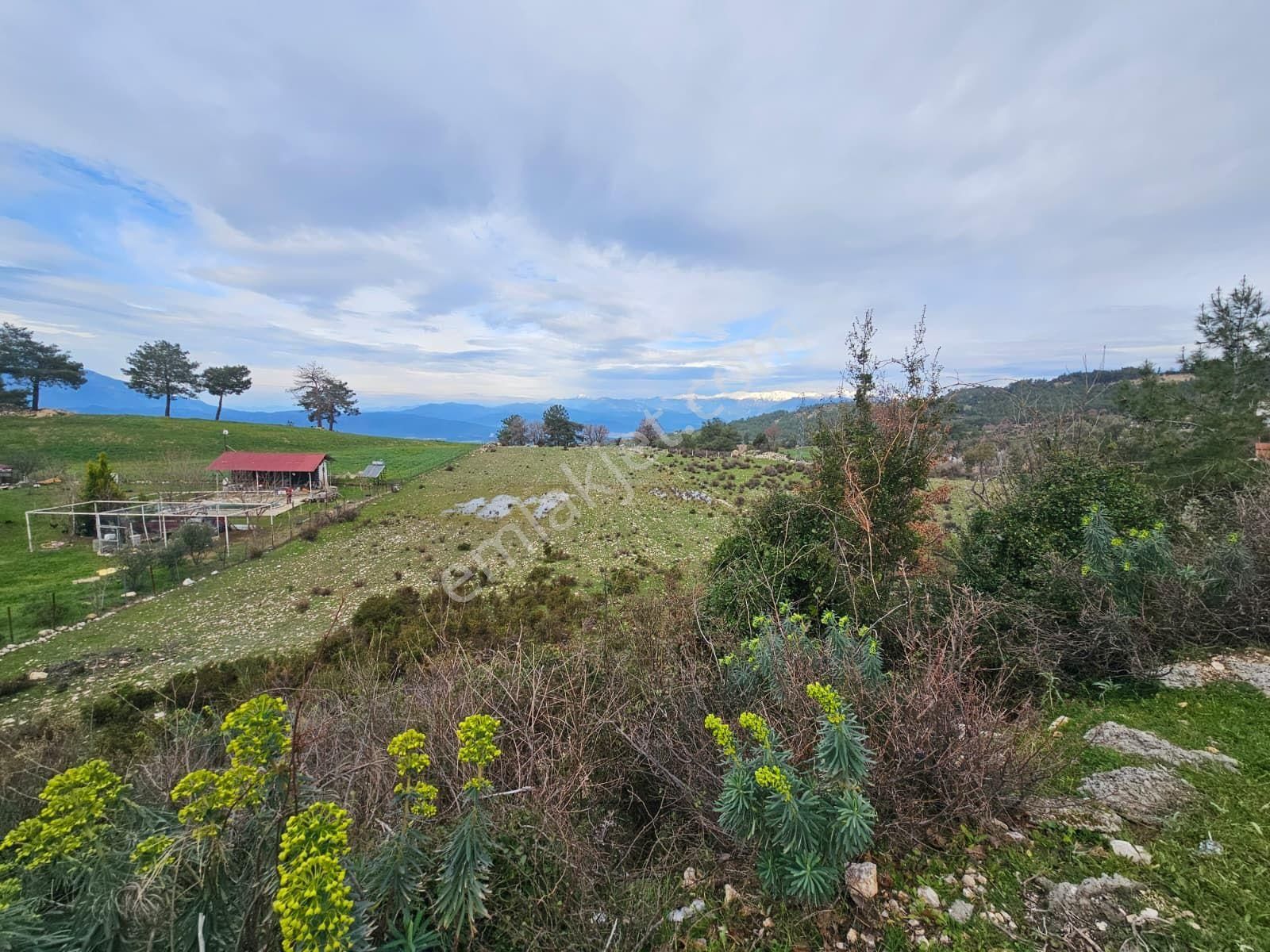 Seydikemer Yaka Mahallesinde 7253 M² Müstakil Tapulu Ana Asfalta Sıfır – Fırsat Arazi - Görsel 3