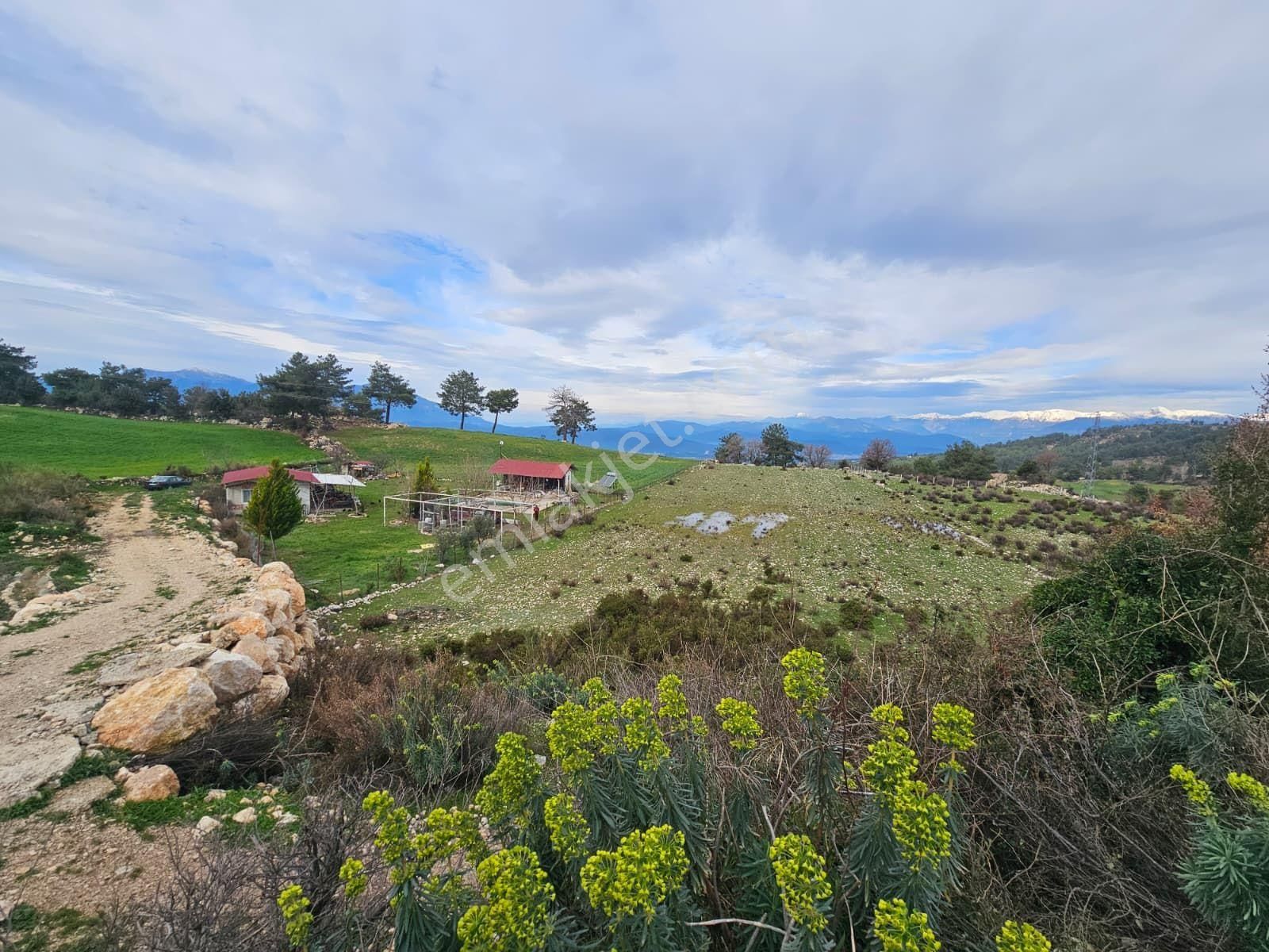 Seydikemer Yaka Mahallesinde 7253 M² Müstakil Tapulu Ana Asfalta Sıfır – Fırsat Arazi - Görsel 5
