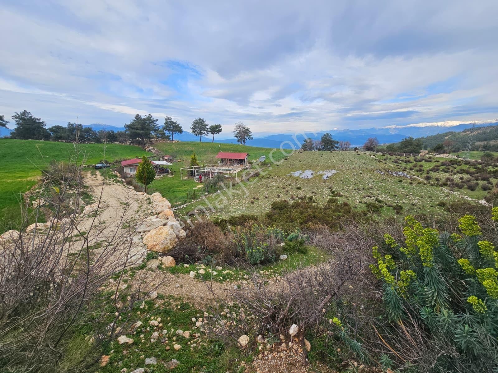 Seydikemer Yaka Mahallesinde 7253 M² Müstakil Tapulu Ana Asfalta Sıfır – Fırsat Arazi - Görsel 6