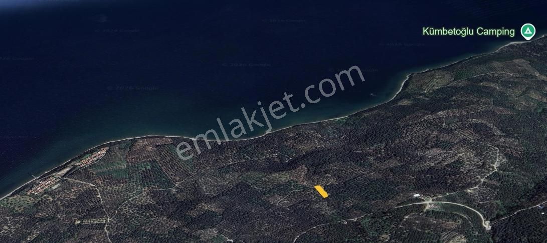 Çalışkanlar Gyo' Dan Edincikte Satılık 450 M2 Zeytinlik - Görsel 4