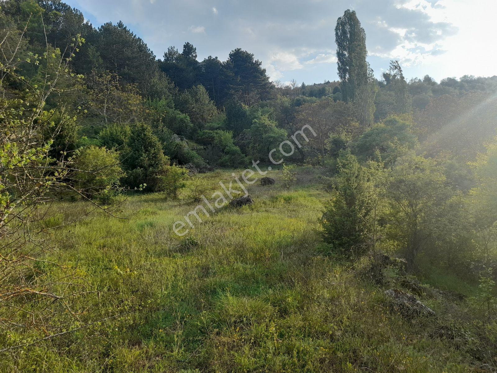 Doğacity Den Satılık Bılecik İnhisar Harmanköy'de 6266 M2 Tarla