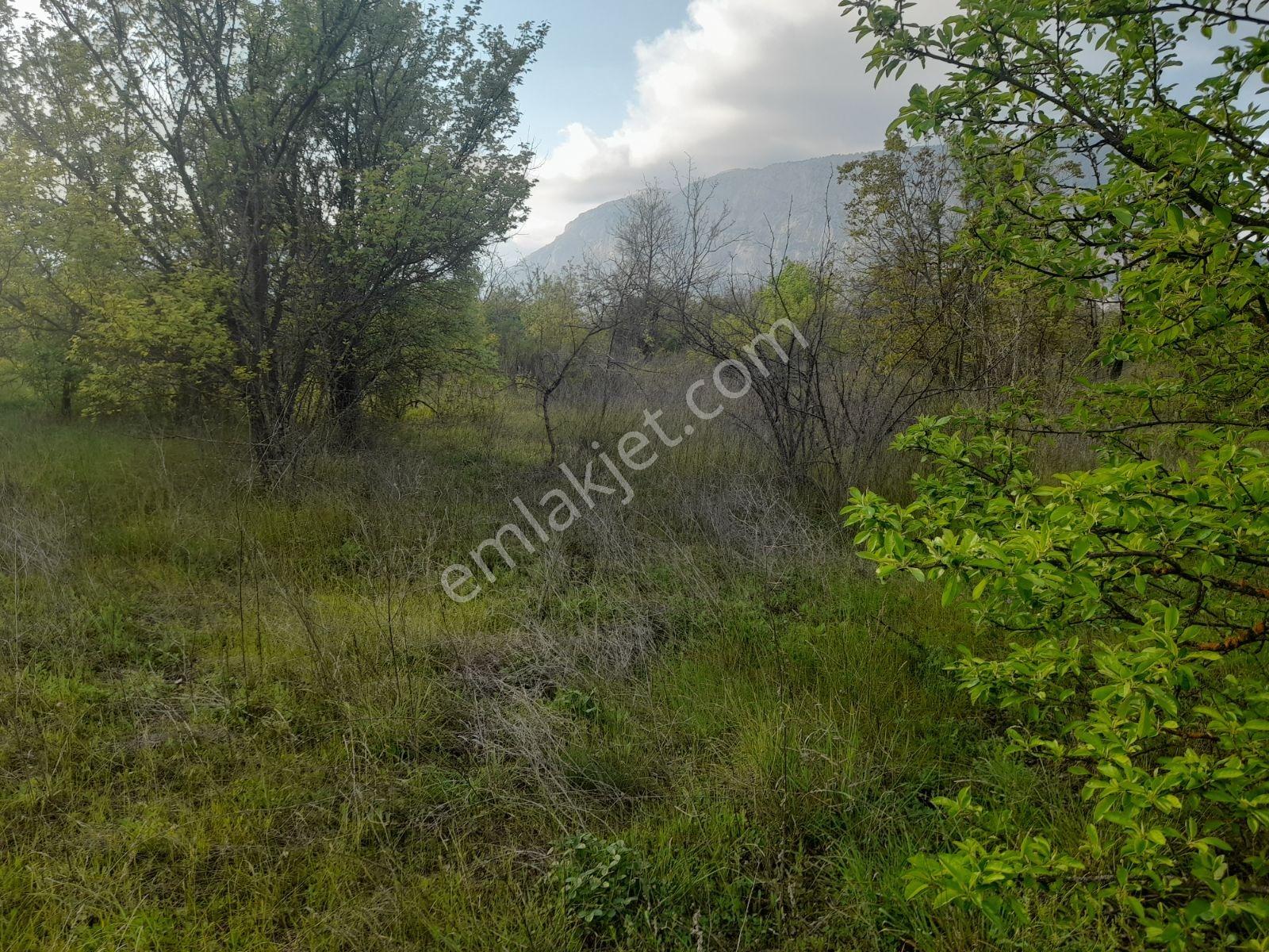 Doğacity Den Satılık Bılecik İnhisar Harmanköy'de 6266 M2 Tarla - Görsel 14