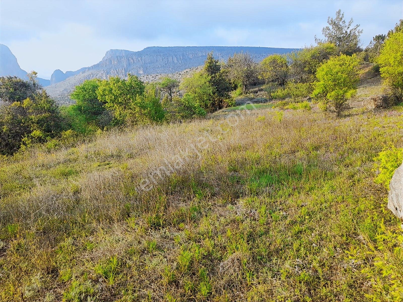 Doğacity Den Satılık Bılecik İnhisar Harmanköy'de 6266 M2 Tarla - Görsel 2