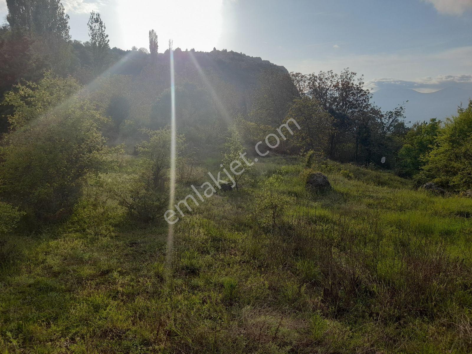 Doğacity Den Satılık Bılecik İnhisar Harmanköy'de 6266 M2 Tarla - Görsel 11