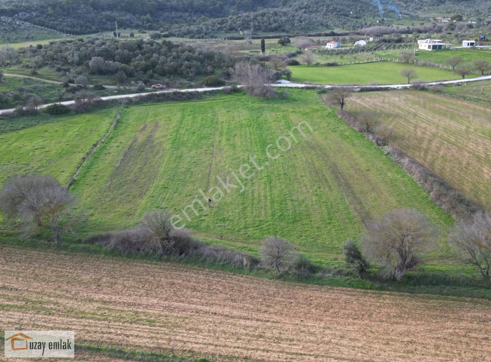 Muğla Milas Kazıklı'da Satılık Tarla - Görsel 2