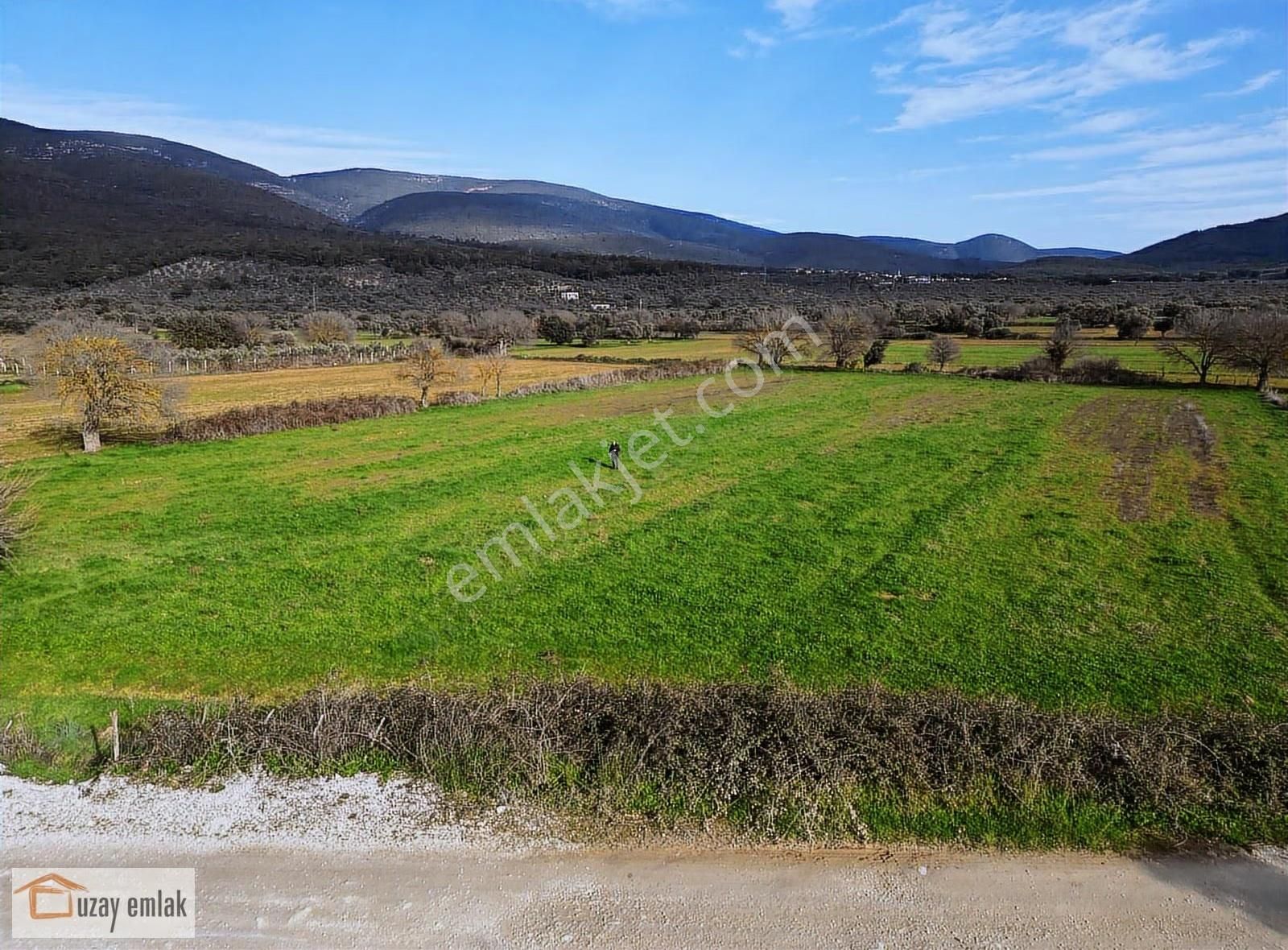 Muğla Milas Kazıklı'da Satılık Tarla - Görsel 12