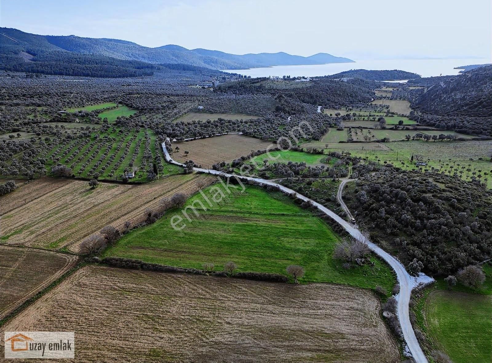 Muğla Milas Kazıklı'da Satılık Tarla - Görsel 16
