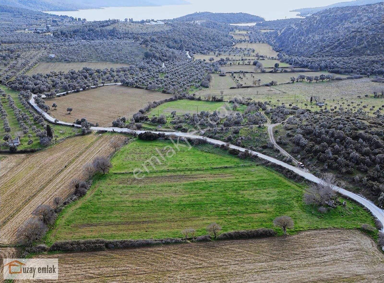 Muğla Milas Kazıklı'da Satılık Tarla - Görsel 3