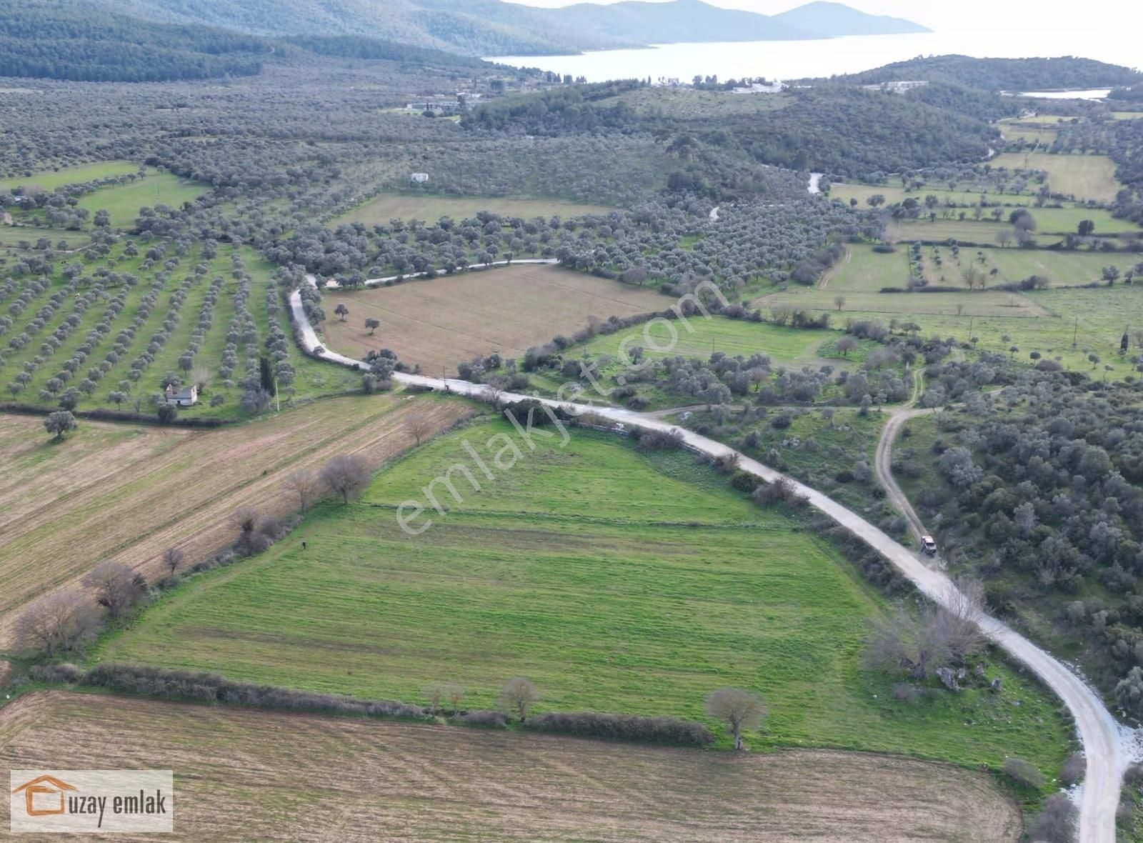 Muğla Milas Kazıklı'da Satılık Tarla