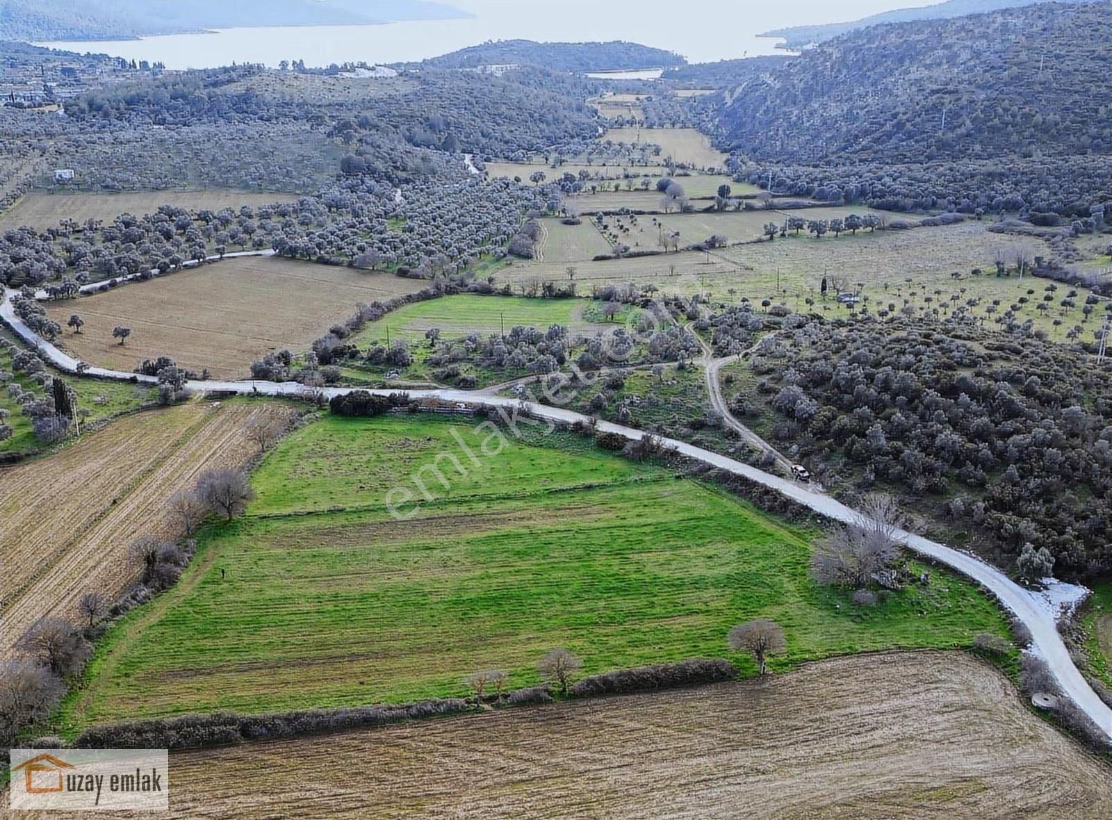 Muğla Milas Kazıklı'da Satılık Tarla - Görsel 5