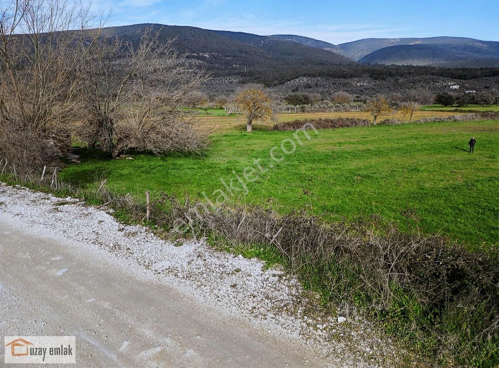 Muğla Milas Kazıklı'da Satılık Tarla - Görsel 9
