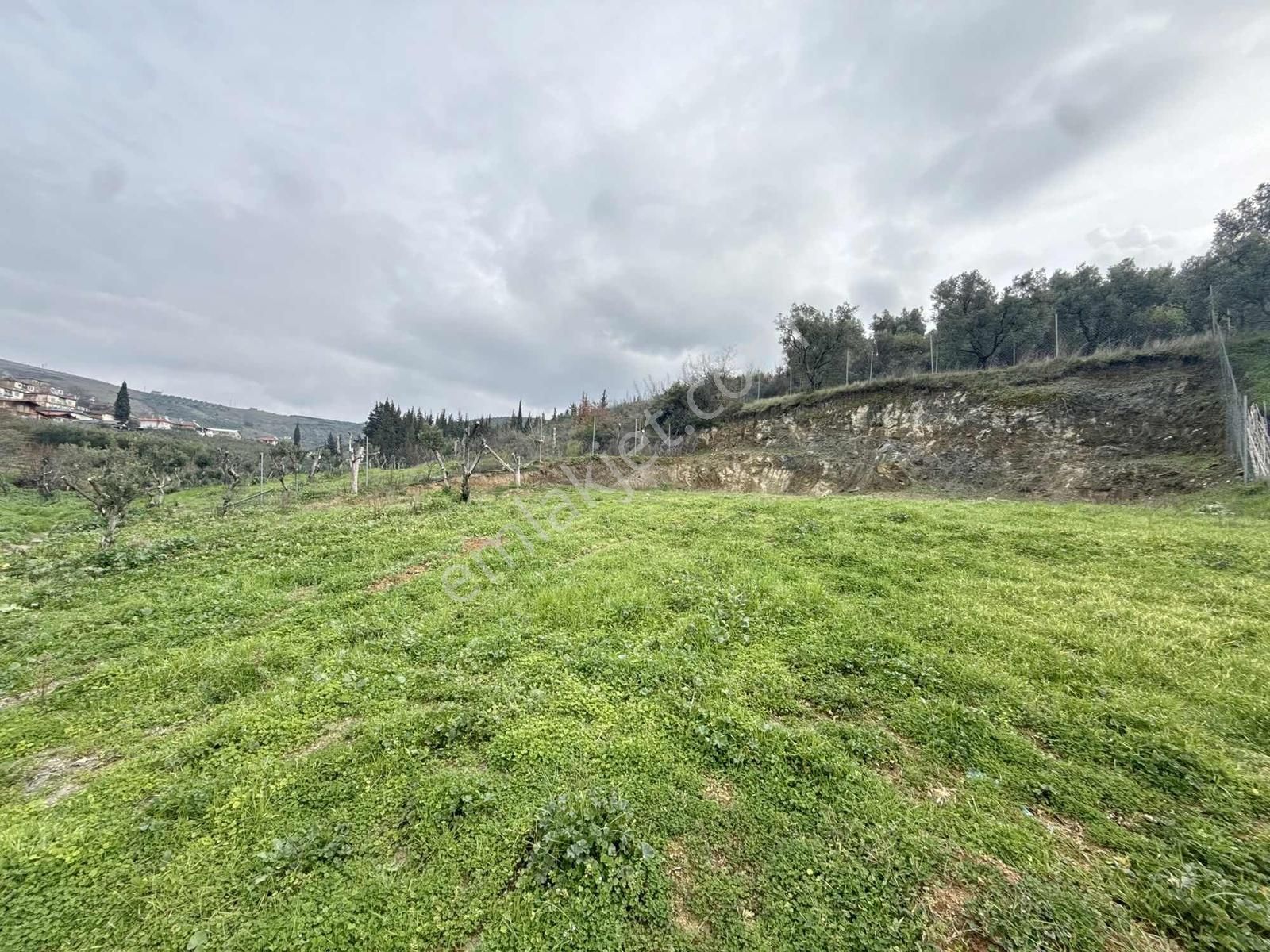 İznik Ömerli'de Köy Girişinde Göl Manzaralı 712 M2 İmarlı Arsa - Görsel 14