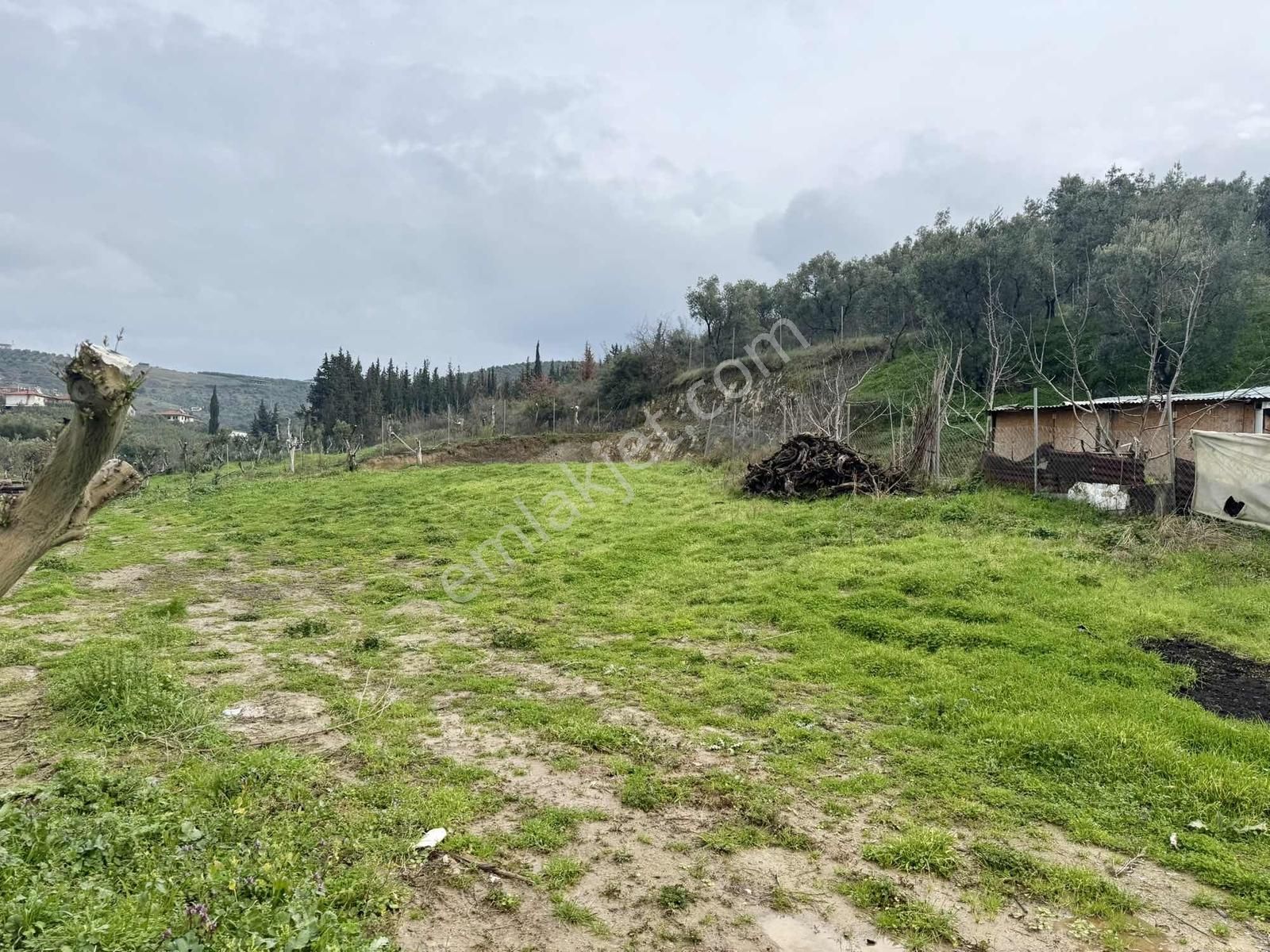 İznik Ömerli'de Köy Girişinde Göl Manzaralı 712 M2 İmarlı Arsa - Görsel 13