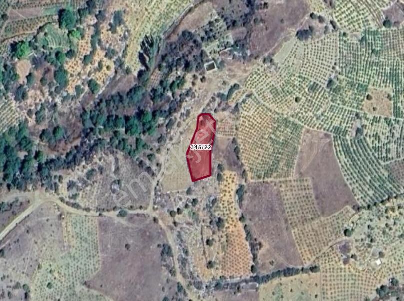 Konya Hadim Göynükkışla Köyünde 709 M² Tarla Satılıktır