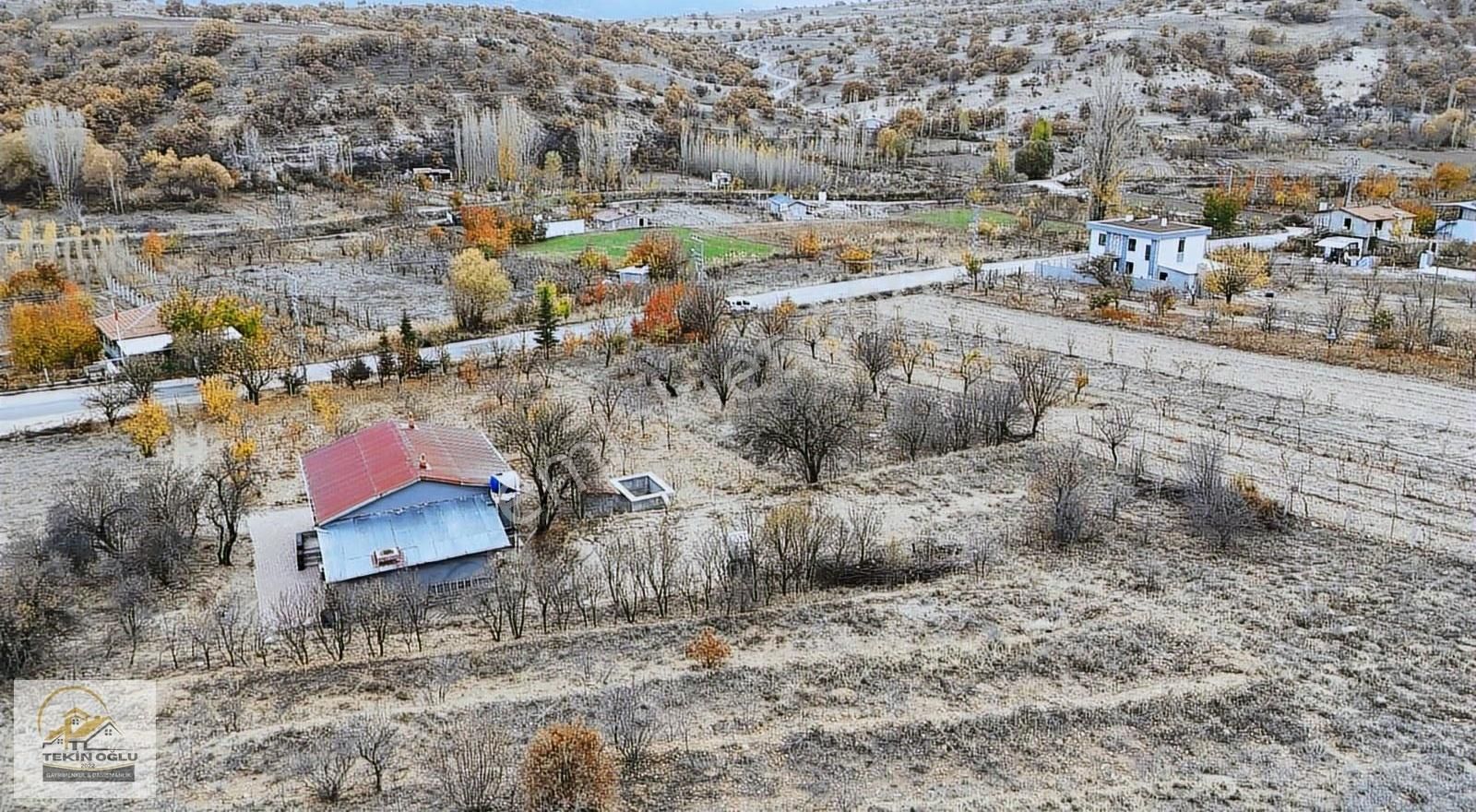 Çomaklar'da Asvalt Yola Sıfır 785 M² Müstakil Bahçelik Tarla - Görsel 13