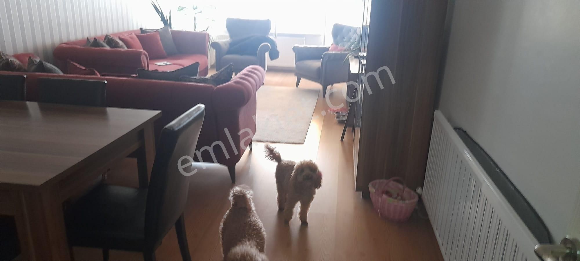 Kaçmaz Emlaktan Kocaeli Derincede Satılık 2+1 Daire - Görsel 3