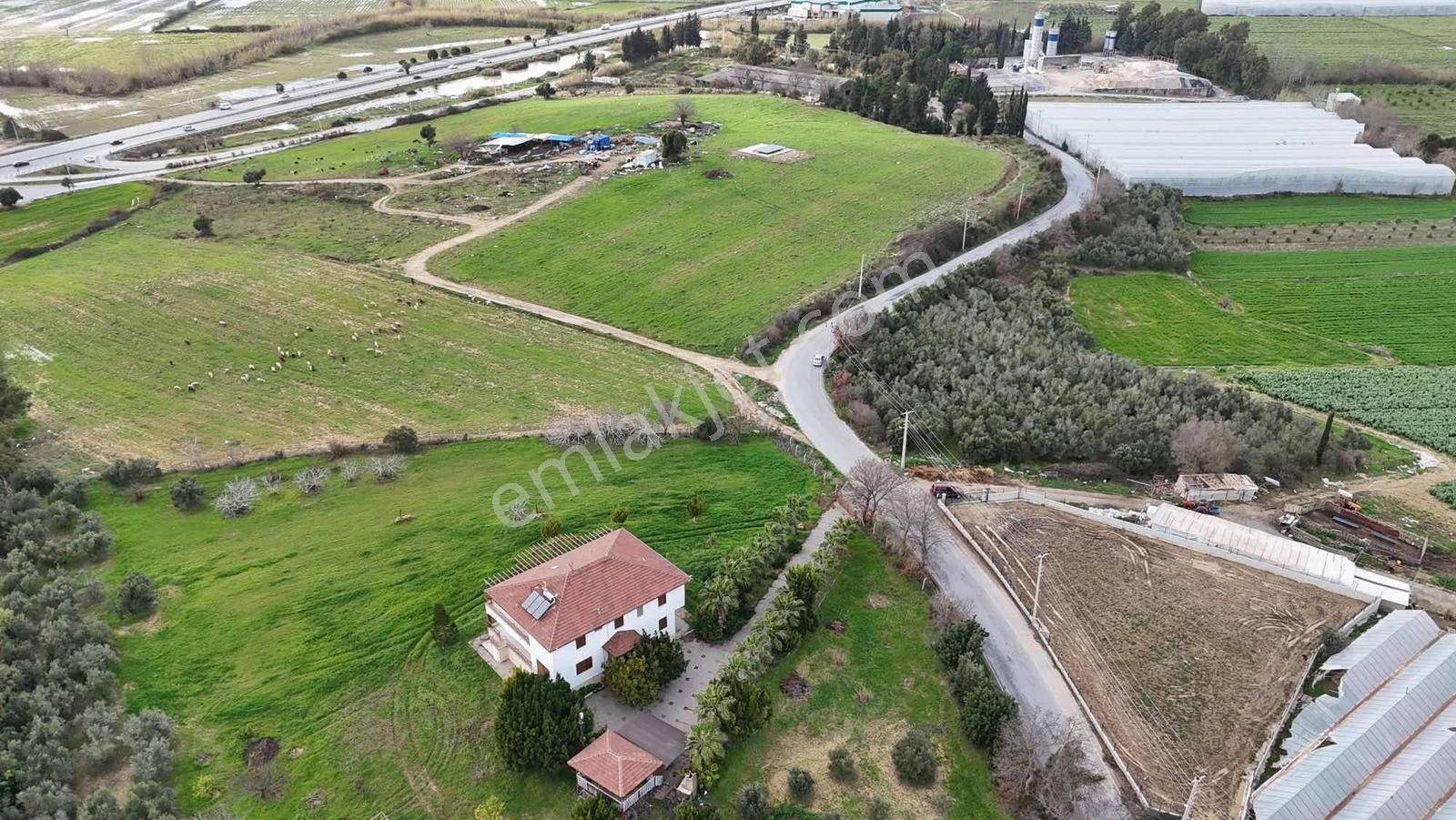 İnfo Seydiler Mahallesi Doğa Manzaralı Tek Tapu Satılık Tarla - Görsel 16