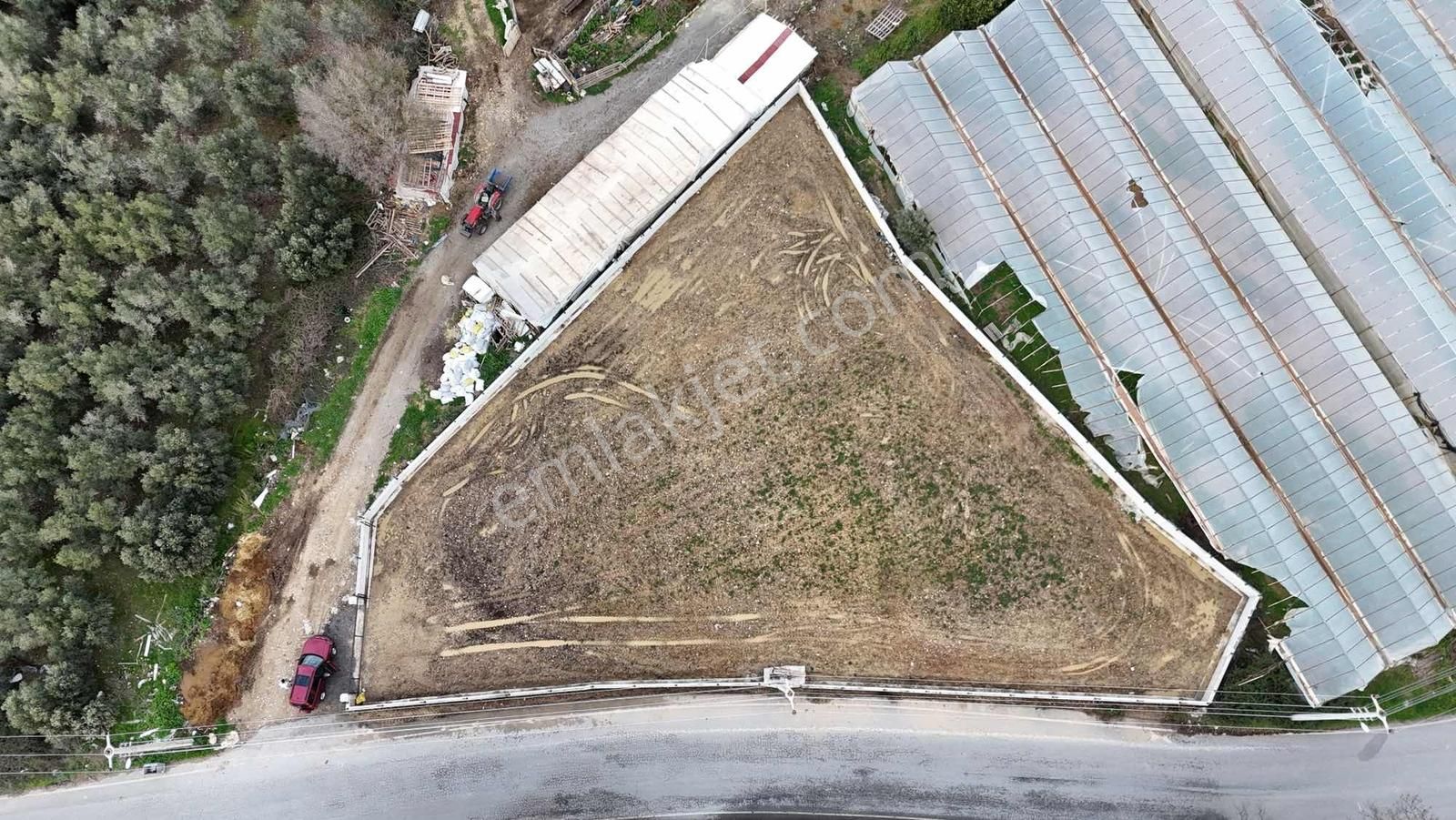 İnfo Seydiler Mahallesi Doğa Manzaralı Tek Tapu Satılık Tarla - Görsel 4