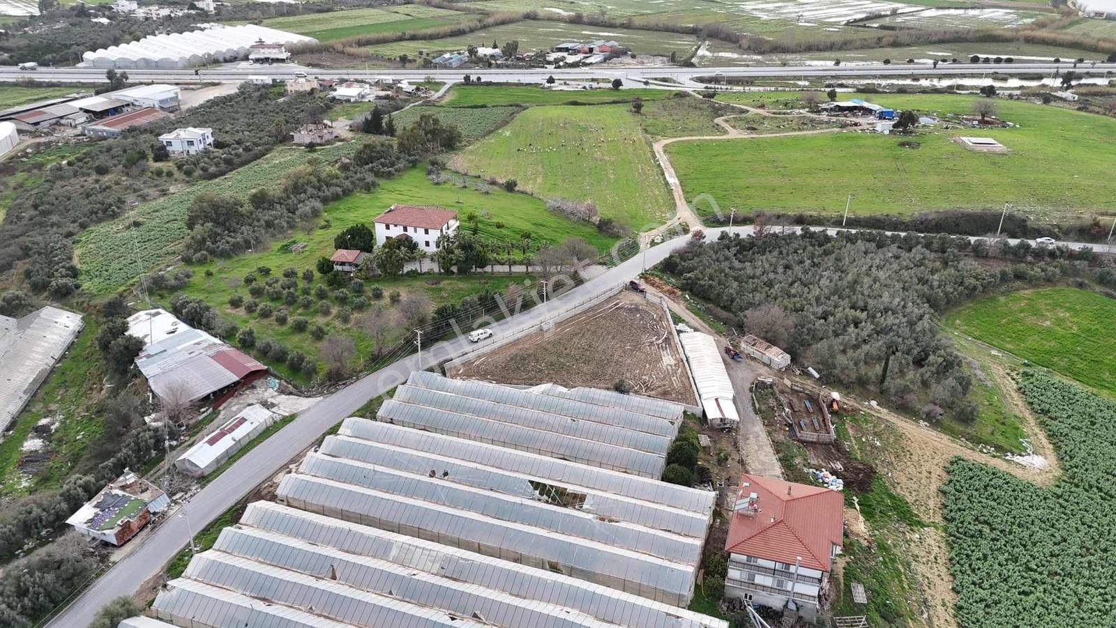 İnfo Seydiler Mahallesi Doğa Manzaralı Tek Tapu Satılık Tarla - Görsel 17
