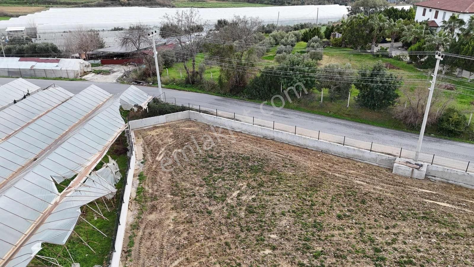 İnfo Seydiler Mahallesi Doğa Manzaralı Tek Tapu Satılık Tarla - Görsel 11