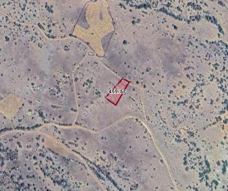 Konya Hadim Göynükkışla Köyünde 1.678 M² Bağ Satılıktır