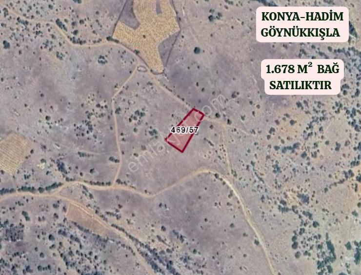 Konya Hadim Göynükkışla Köyünde 1.678 M² Bağ Satılıktır - Görsel 2