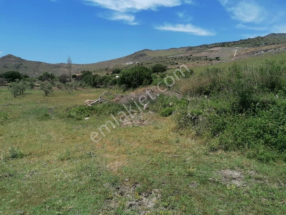 Yanıkköy'de Satılık 2200m2 Arazi-300 Dönüm Meraya Sınır - Görsel 6