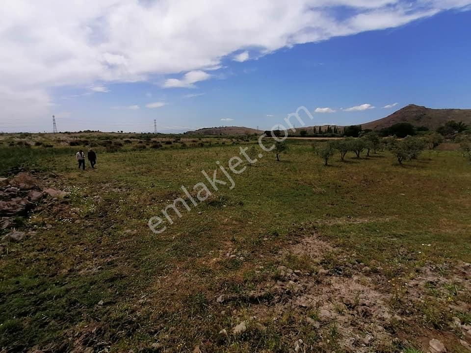 Yanıkköy'de Satılık 2200m2 Arazi-300 Dönüm Meraya Sınır - Görsel 3