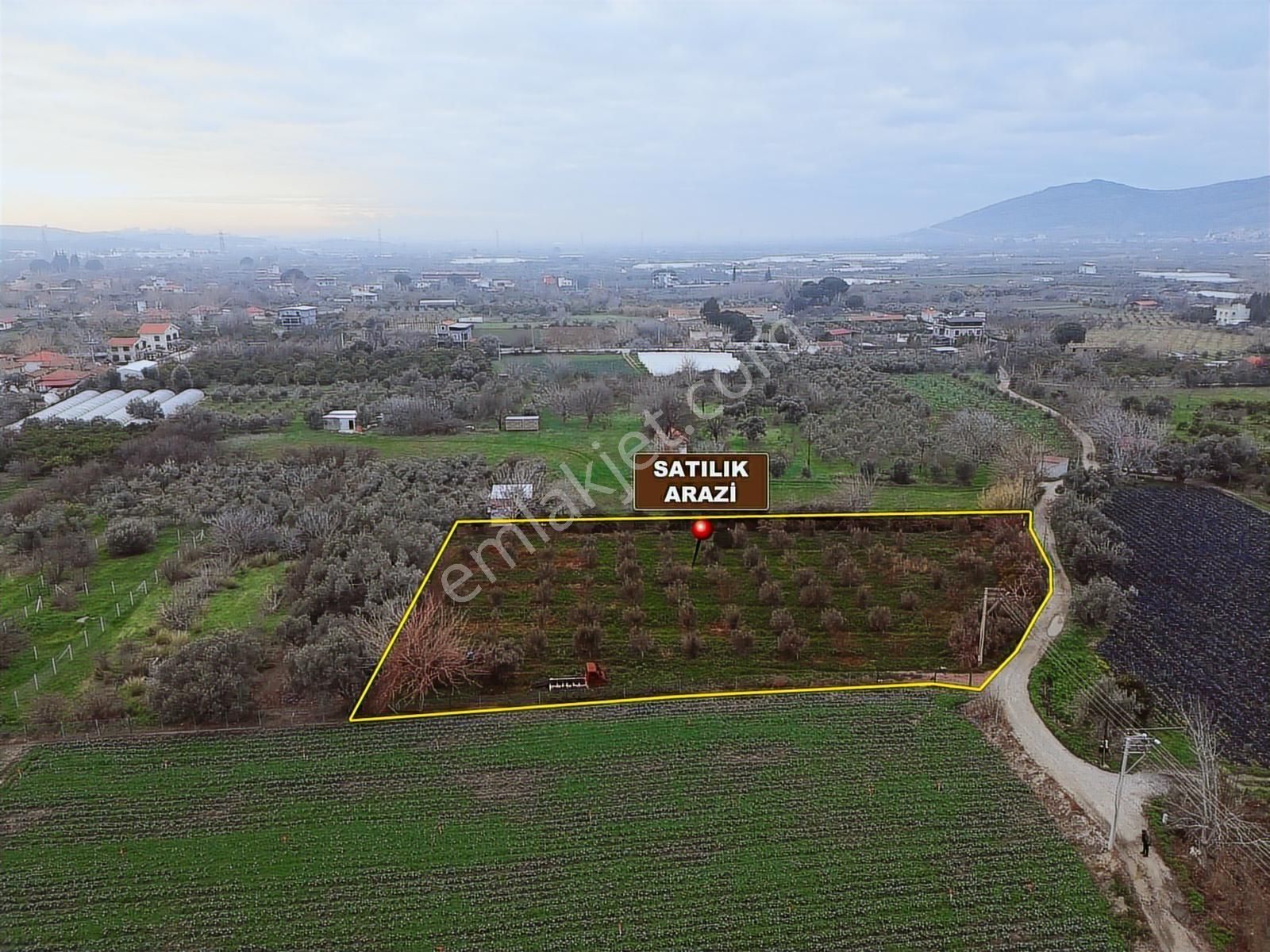 Yayla'da Satılık 2845m2 Zeytinlik, İmar Sınırı - Fırsat Arazi! - Görsel 6