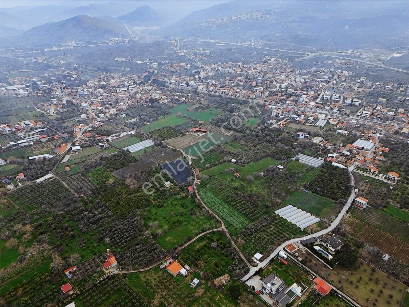 Yayla'da Satılık 2845m2 Zeytinlik, İmar Sınırı - Fırsat Arazi! - Görsel 28