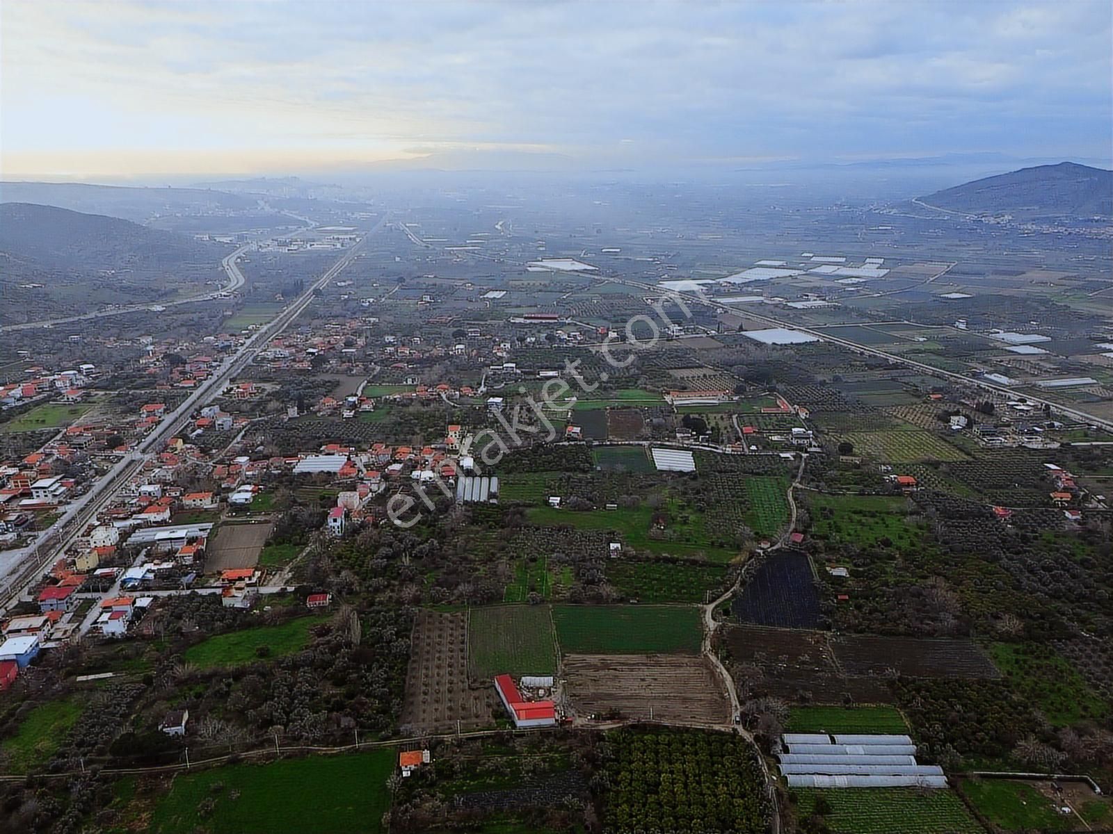Yayla'da Satılık 2845m2 Zeytinlik, İmar Sınırı - Fırsat Arazi! - Görsel 3