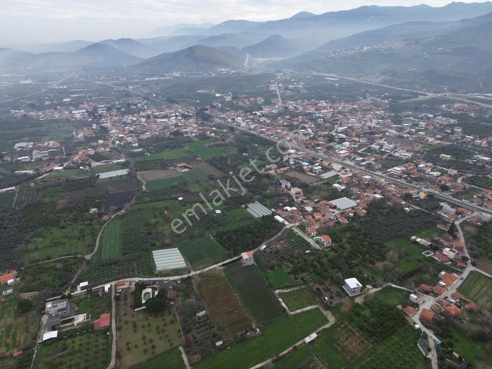 Yayla'da Satılık 2845m2 Zeytinlik, İmar Sınırı - Fırsat Arazi! - Görsel 29